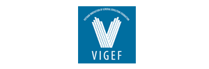 Quỹ hỗ trợ đổi mới giáo dục phổ thông Việt Nam (VIGEF)