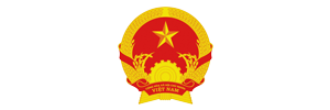 The Vietnamese Government